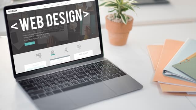 Professional Web Design
